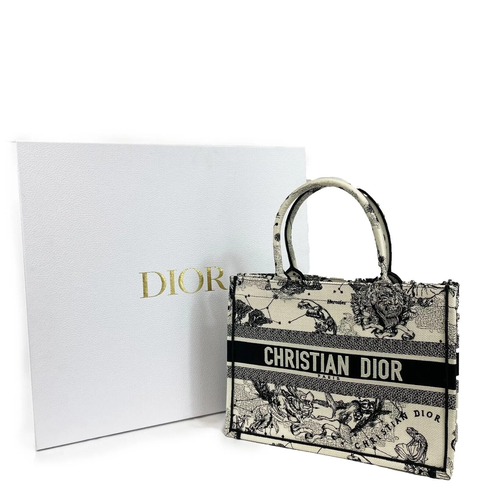 Christian Dior - Medium Book Tote in Latte Dior Zodiac Embroidery - Brand New