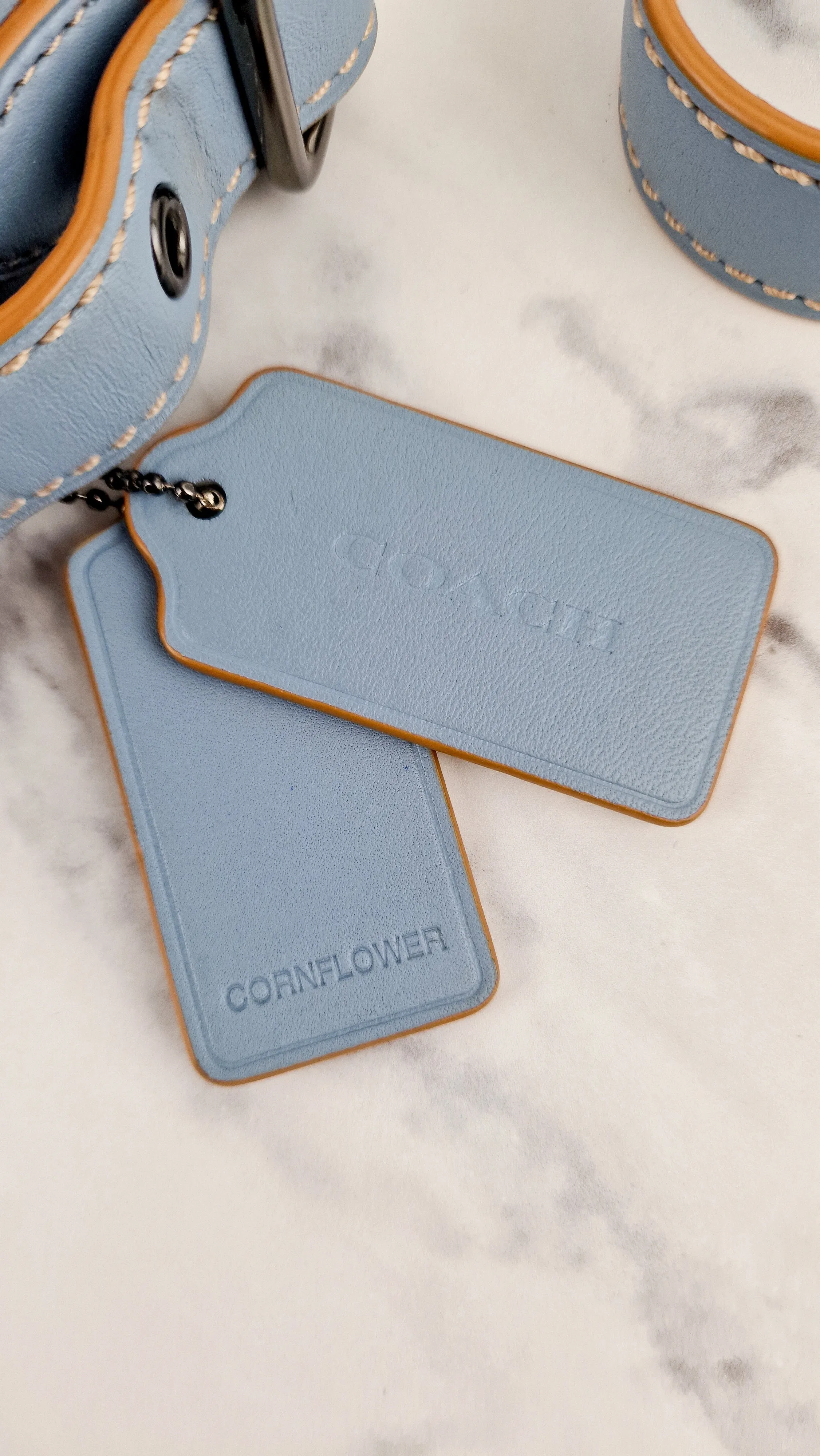 Coach 1941 Saddle 23 Bag in Cornflower Blue Smooth Leather - 75th Anniversary Limited Edition - Coach 37875