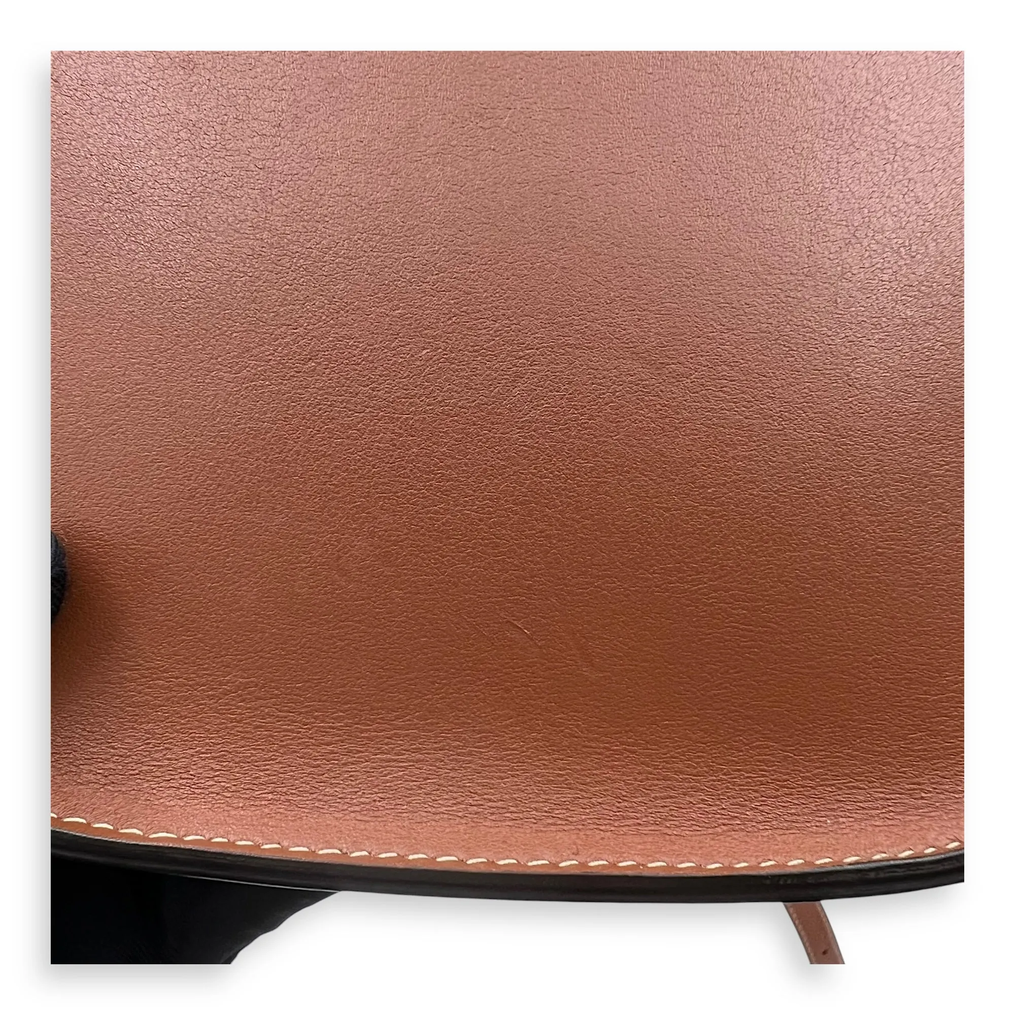 Folco Triomphe Brown Crossbody Bag in Calfskin, Gold hardware